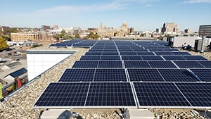 Why Going Green with Solar Power is Good for Business