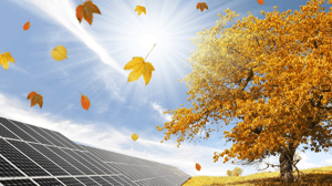 Tips for an Energy-Efficient Home in the Fall and Winter