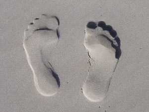 What is Your Carbon Footprint and How to Reduce It